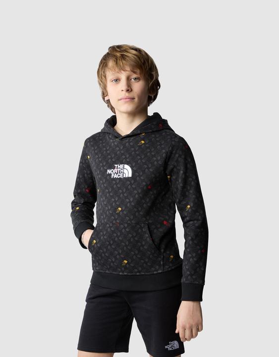 Image du produit North Face Impression sweat à capuche garçon Drew Pealight P/O (S)