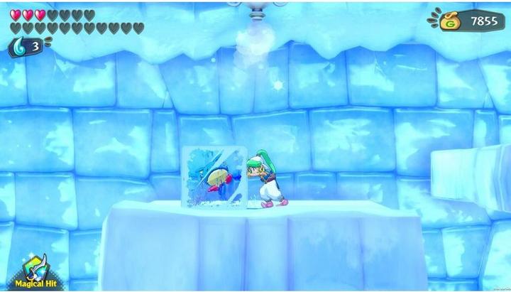 Image du produit ININ Games Wonder Boy : Asha dans le monde des monstres (Switch, Switch Lite, Switch OLED, DE)