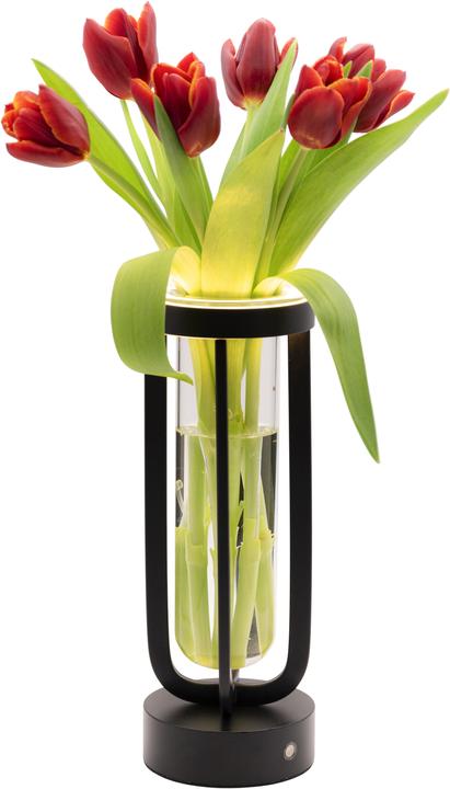 Produktbild Securit Florence (50 lm)