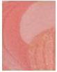 Actual product image Sisley Palette orchid (Corail)