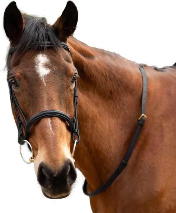 Actual product image Hy Leather Horse Neck Strap
