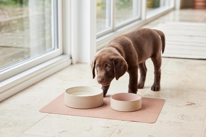 Produktbild Oyoy ZOO - Koko Dog Bowl Mat - Brown (Z60000)