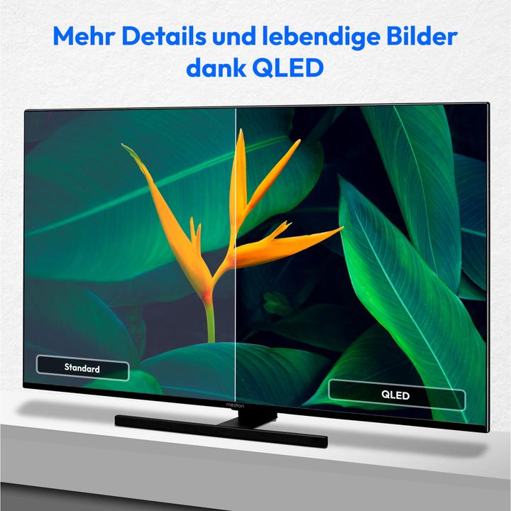 Image du produit Medion LIFE® X14373 (MD 31256) TV QLED Android (43", QLED, 4K)