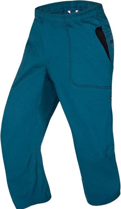 Légion bleue