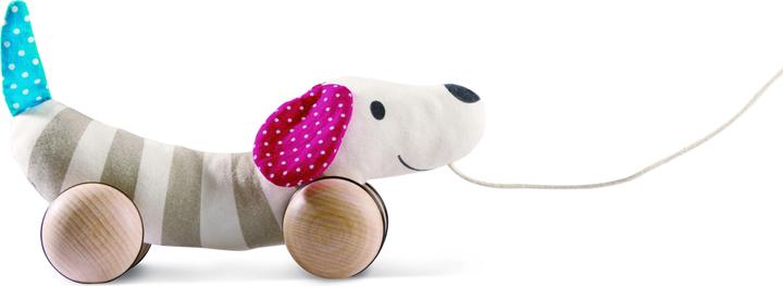 Hape Hugo cane da tiro