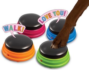 Actual product image Hunger for Words Talking Pet Starter Set (Dog activity toy)