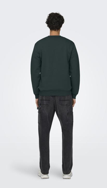 Produktbild Only & Sons Onsceres Crew Neck Noos (M)