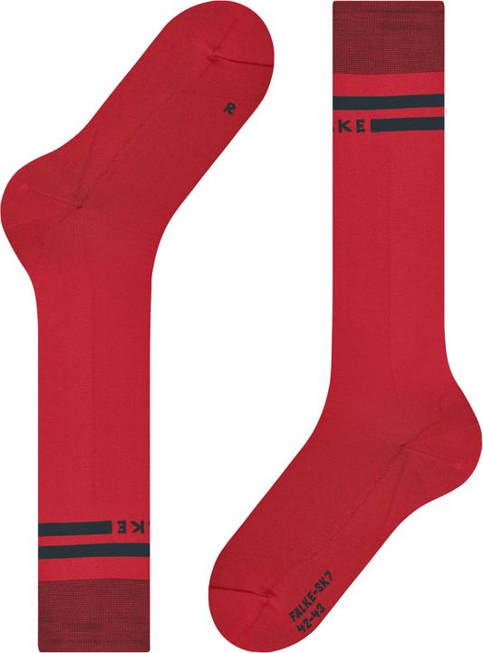 Actual product image Falke SK7 Race (44, 45)