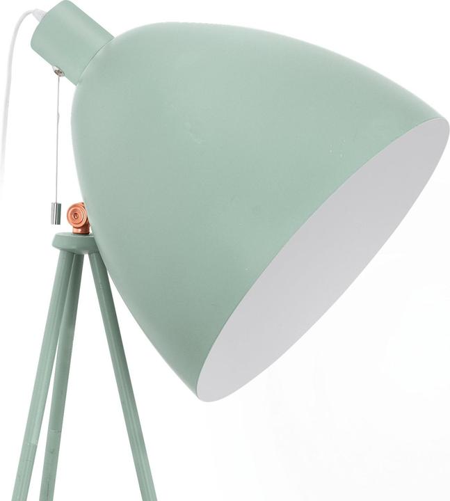 Actual product image EGLO Dundee (E27)