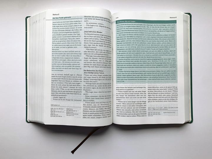 Produktbild Die Bibel mit Impulsen von Joyce Meyer (Deutsch, Joyce Meyer, 2024)
