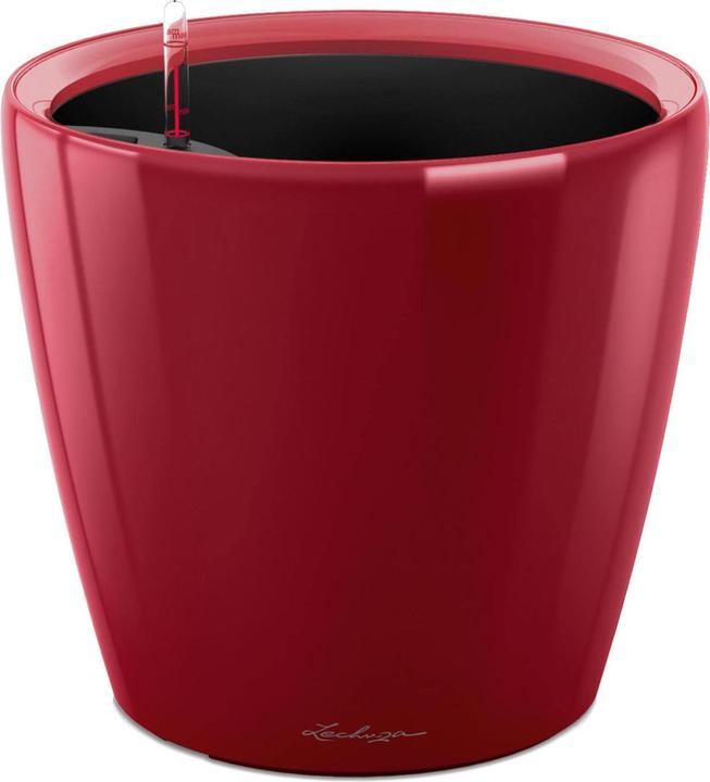 Scarlet Red High Gloss