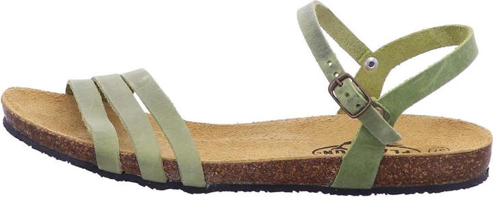 Immagine prodotto Plakton 575080 PISTACIO (40)