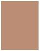 Actual product image Sisley Powder - Phyto-Poudre Compacte ( N°4 Bronze ) (4 Bronze)