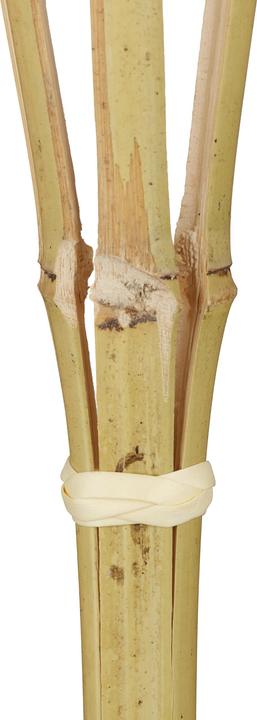 Image du produit Relaxdays 10x torche de jardin