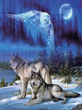 Pracht Diamond Painting Wölfe