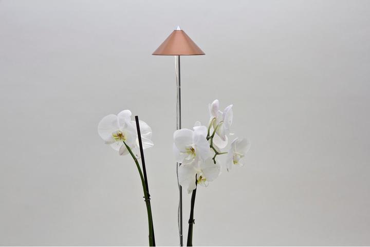 Produktbild Colibri Sunlite (LED, 230 V)