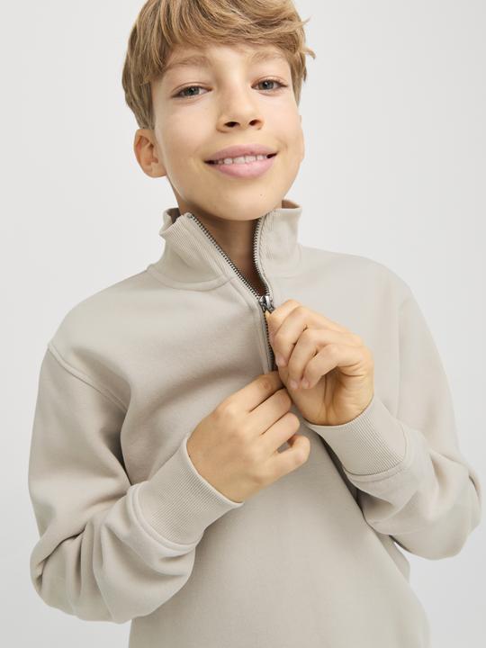 Produktbild Jack & Jones Jjebradley Sweat Half Zip Noos Jnr (164)