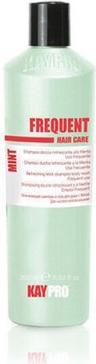 Kay Pro KayPro Erfrischendes Minz Shampoo 350ml (350 ml)
