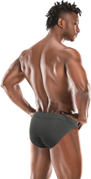 Actual product image Normani 5 Briefs in organic cotton Sliwen - 9283 (XL)