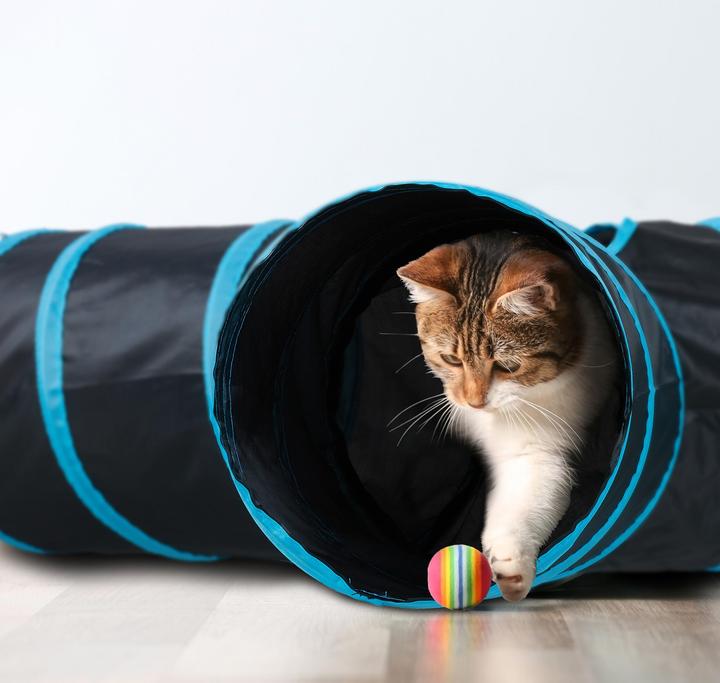 Immagine prodotto Relaxdays Tunnel per gatti (Tunnel del gatto)