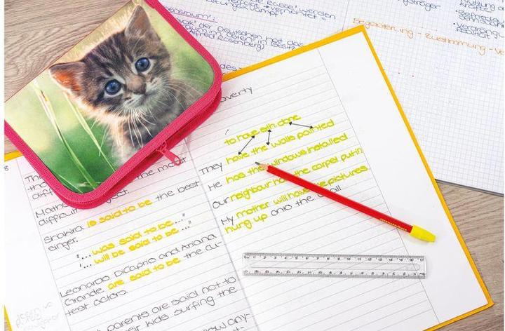 Actual product image EberhardFaber Case cat 42 pieces, Pink