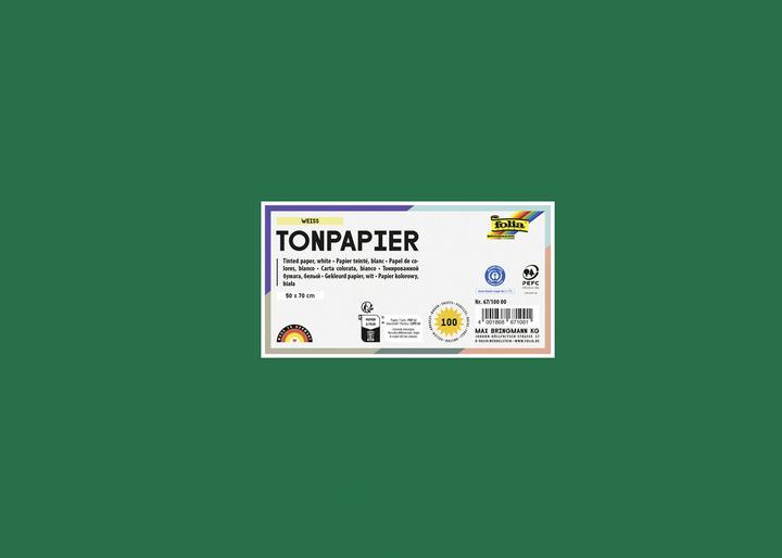 Image du produit Folia Papier à dessin 130 g 50x70 cm x25 vert sapin (1 x)