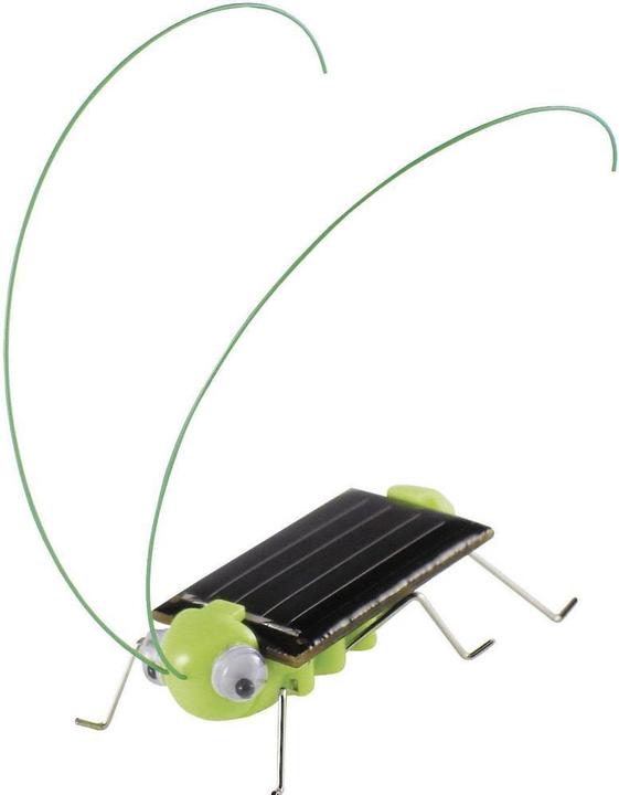 Image du produit Sol Expert Criquet solaire