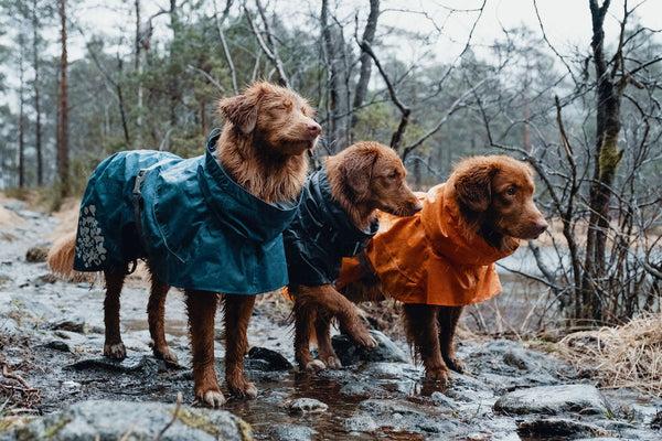 Produktbild Hurtta Monsoon Coat bilberry (40, Hundemantel)