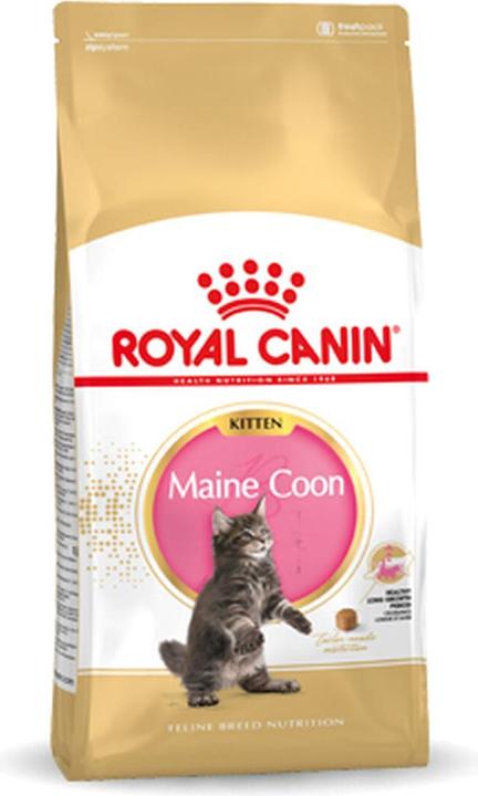 Produktbild Royal Canin Maine Coon Kitten (Junior, 1 Stk., 4000 g)