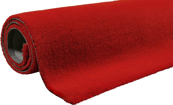 Immagine prodotto Esprit Greenwood Rug (120 x 180 cm)