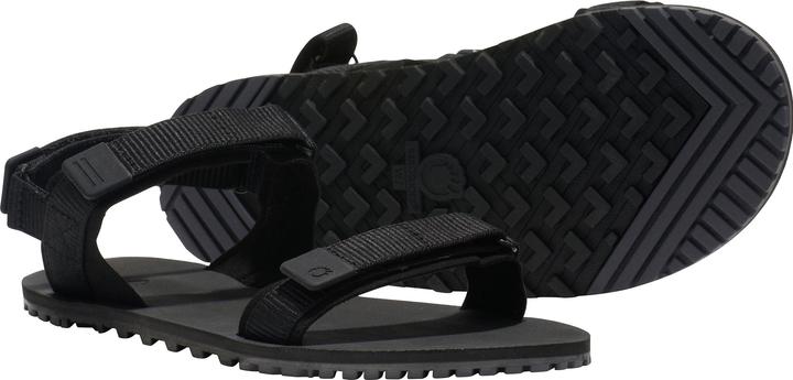 Actual product image Xero Shoes D-Trail (38.5)