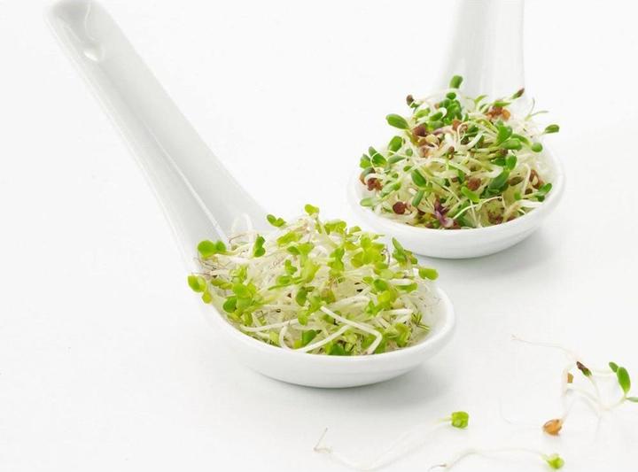 Image du produit Revol Cuillère chinoise (1 pièce(s), Set de couverts)