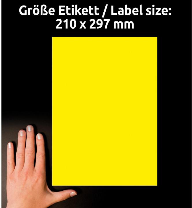 Image du produit Avery Étiquettes en couleurs spéciales