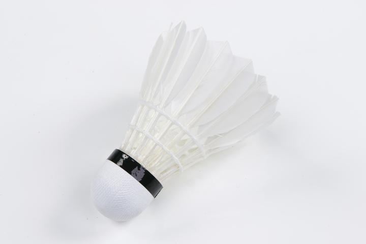 Image du produit Victor Volants de badminton Pro Court