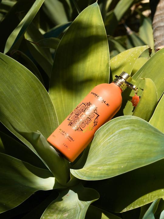 Produktbild Montale Holy Neroli (Eau de Parfum, 100 ml)