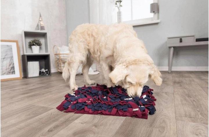 Produktbild Trixie Activity Schnüffelteppich (Beschäftigungsspielzeug Hund)