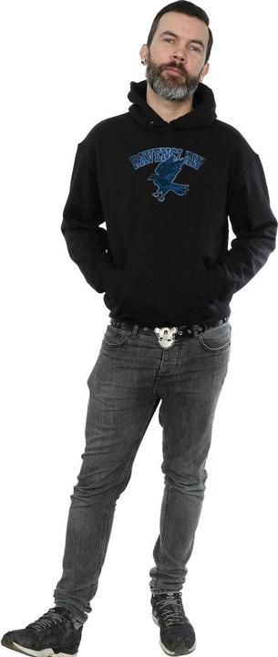 Actual product image Mens Ravenclaw Sport Emblem Hoodie (S)