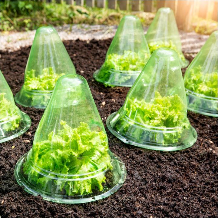 Immagine prodotto Windhager Pianta cappello
