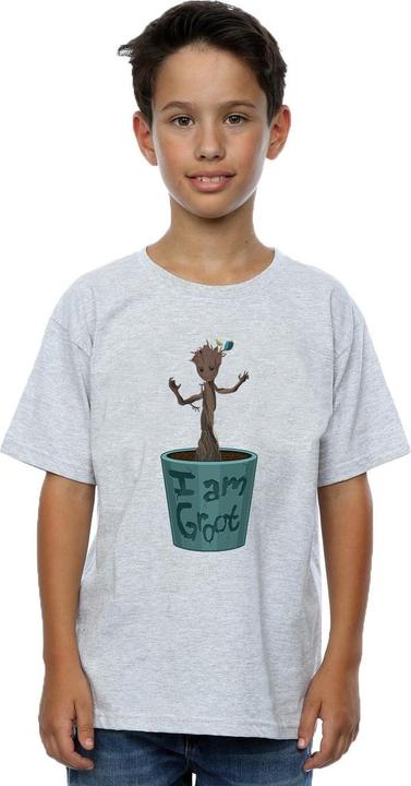 Immagine prodotto Guardians Of The Galaxy Groot Flower Pot Maglietta Ragazzi (104)