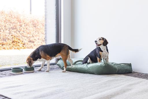 Actual product image Designed by Lotte Dog pillow Nalino (Dog)
