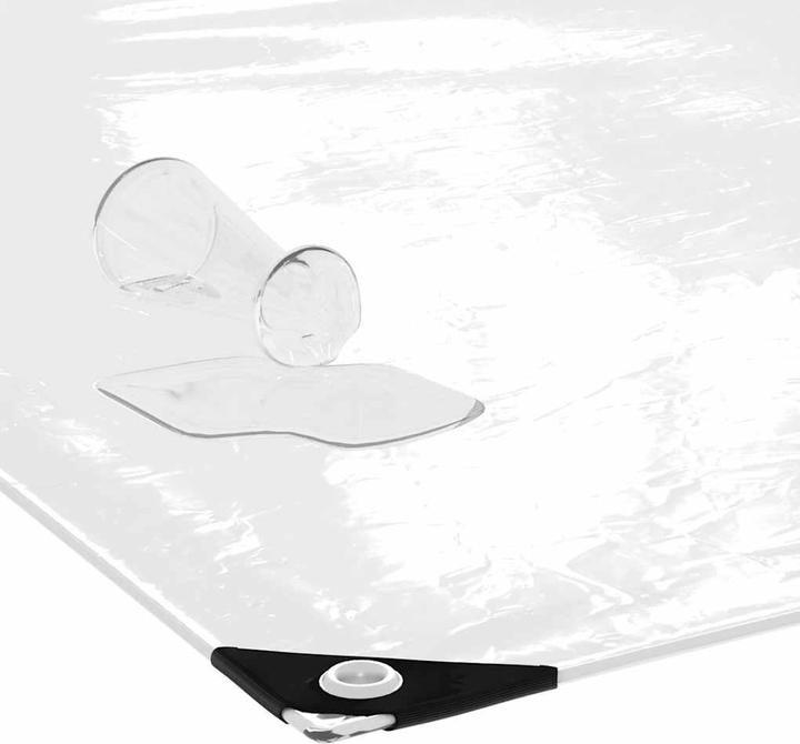 Actual product image VidaXL Transparent tarpaulin with eyelets 3x3 m PVC transparent tarpaulin (300 x 300 cm)