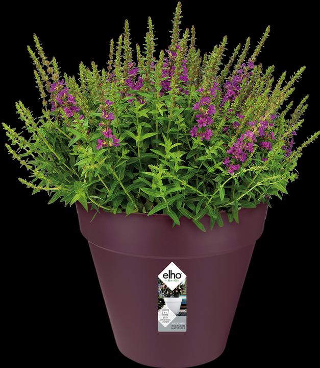 Actual product image Elho Loft Urban (22 cm)