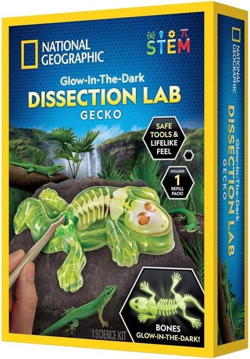 National Geographic Laboratorio di dissezione del geco (29-2451)
