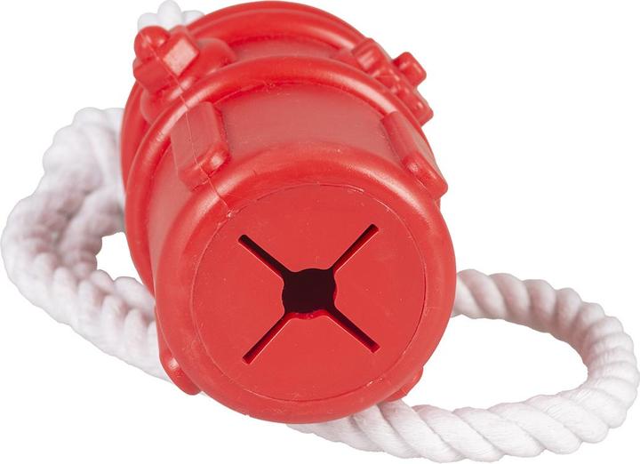 Actual product image EBI Duvo+ Latex Chicken with Sound