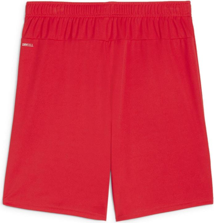 Immagine prodotto Puma pantaloncini TeamGOAL (XXL)