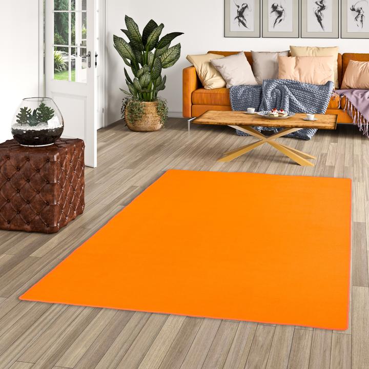 Produktbild Snapstyle Basic Velours Teppich Carla (80 x 160 cm)