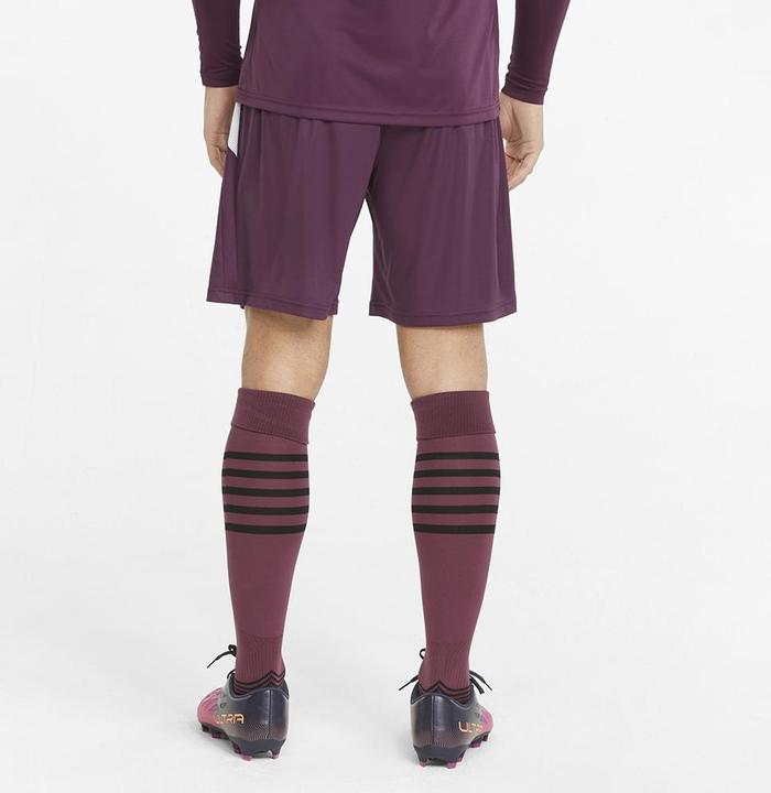 Produktbild Puma teamLIGA Shorts (XXL)