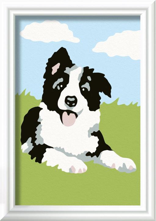 Image du produit Ravensburger Peinture par numéros - Border Collie chiot