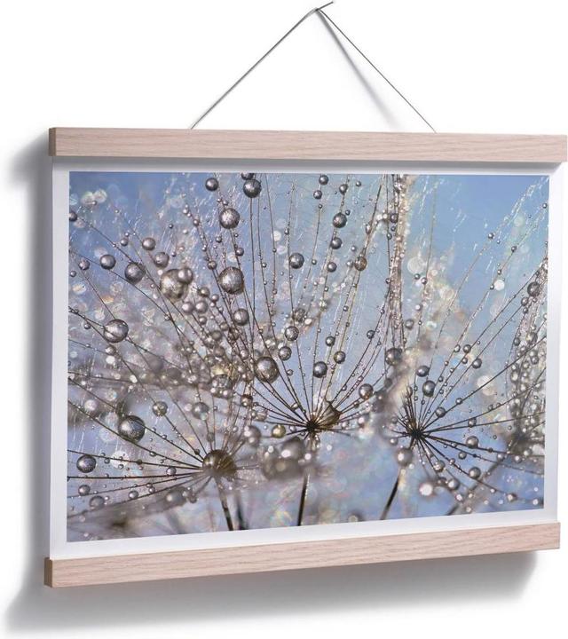 Image du produit Trenddeko Goutte d'eau dans le pissenlit (60 x 50 cm)