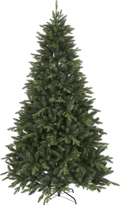 Immagine prodotto Star Trading Bergen (210 cm)
